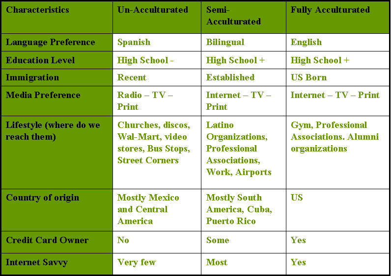 Target market segment toyota