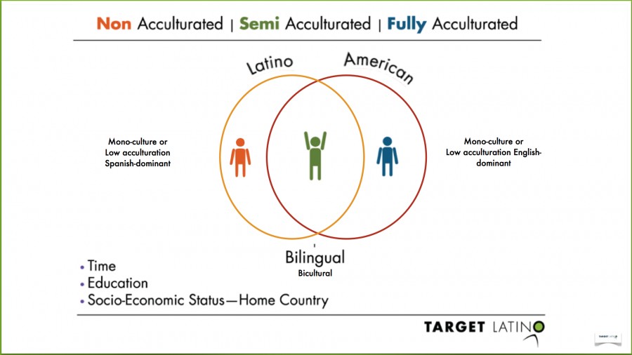 Hispanic Acculturation Process