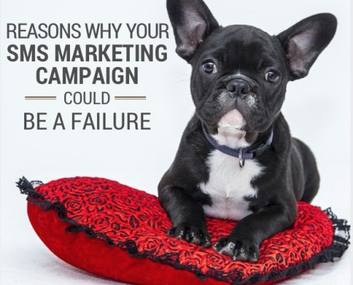 Reasons why your SMS marketing campaign could be a failure